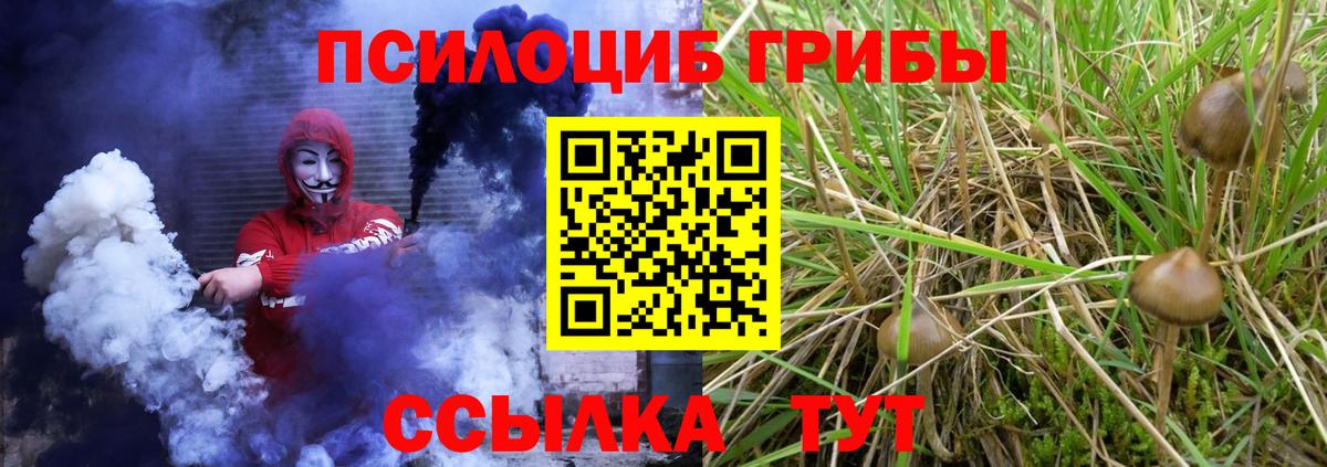 где найти наркотики  Вход с VPN  Кумертау  Галлюциногенные грибы GOLDEN TEACHER 